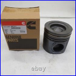 4987914 Piston Motor 6LTAA8.9 CUMMINS Engine Piston İş Makinası Yedek Parça