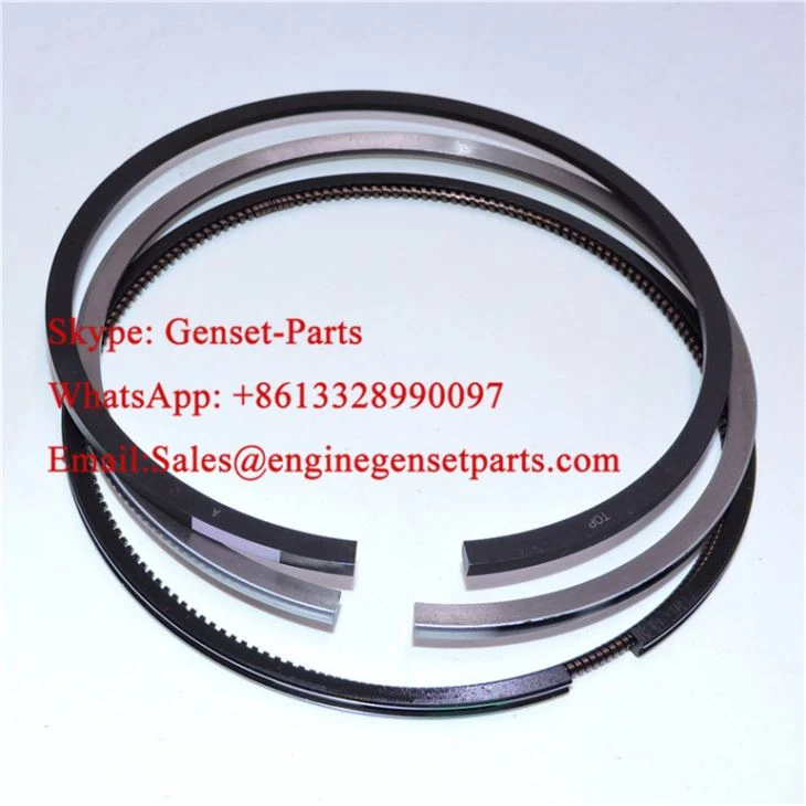 4955651 Motor Segmanı 6LTAA8.9 CUMMINS Engine Piston Ring Set İş Makinası Yedek Parça