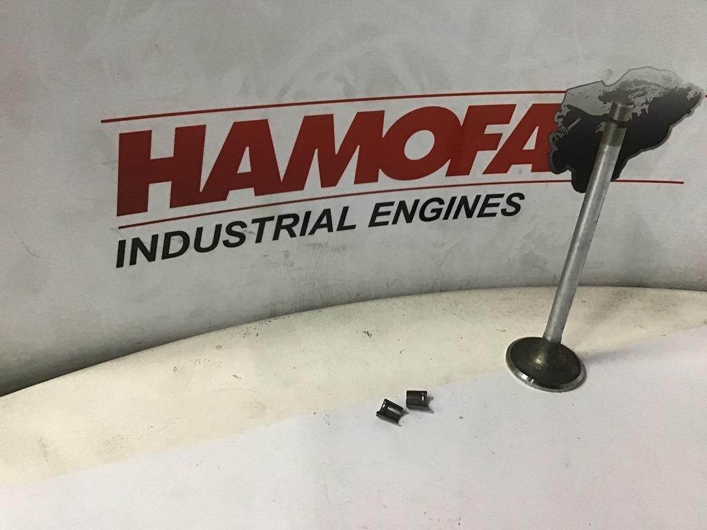 3800340 Intake Valve, Emme Supap QSC8.3 Cummins Motor İş Makinası Yedek Parça