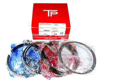 TP JAPON Motor Segmanları İş Makinası Yedek Parça