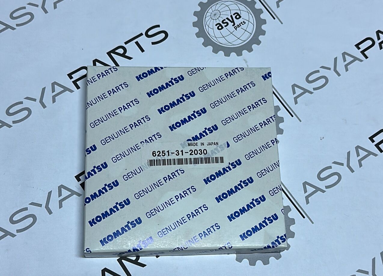 6251-31-2030 Motor Segmanı Komatsu SAA6D125E Motor İş Makinası Yedek Parça